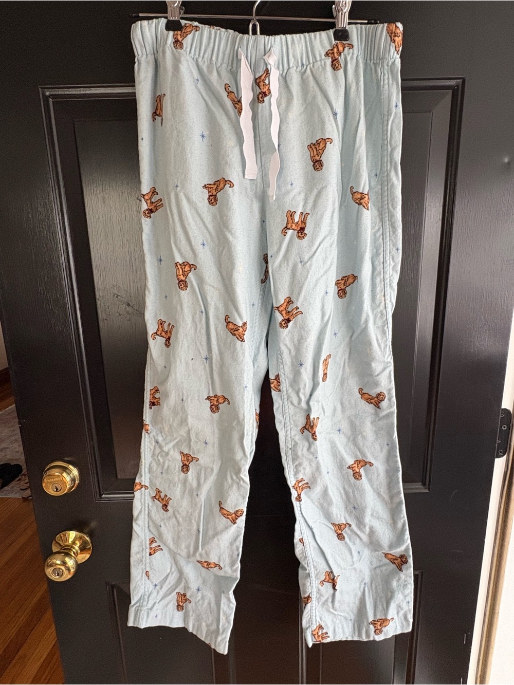 Jcrew Flannel PJ Pants with Brown Dog Print
